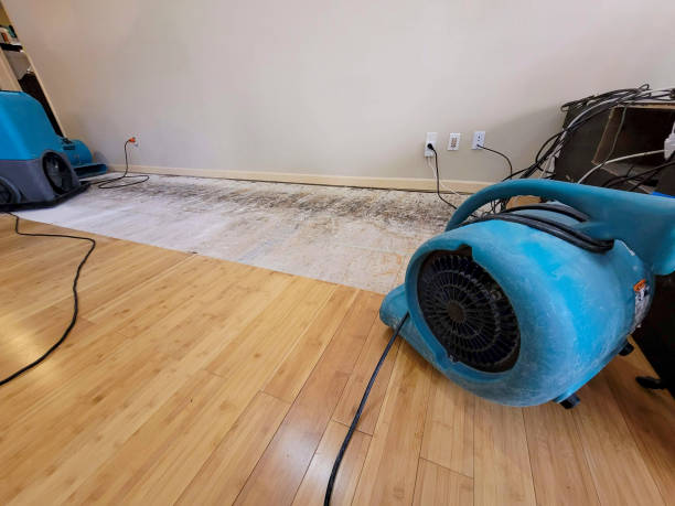 Professional Water Extraction technician working in Carr, CO